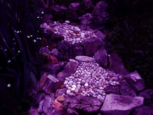 skp_13