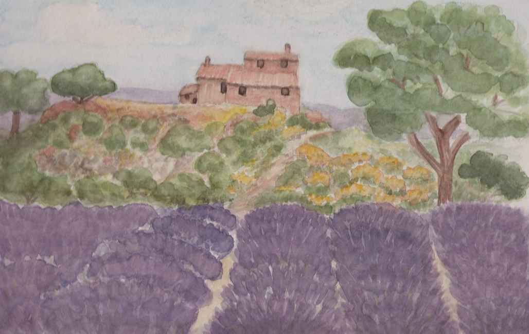 Aquarelle de Janine Bouchut : les lavandes