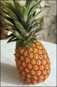 ananas