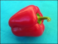 poivron