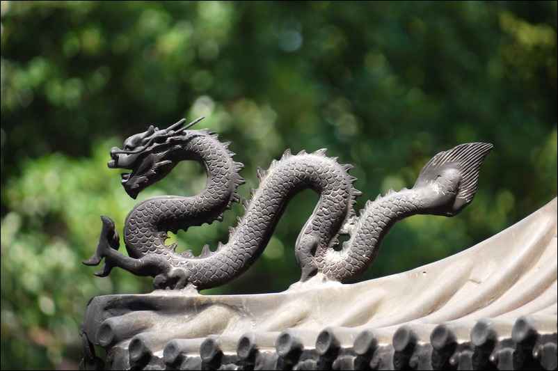 Encore une tête de dragon