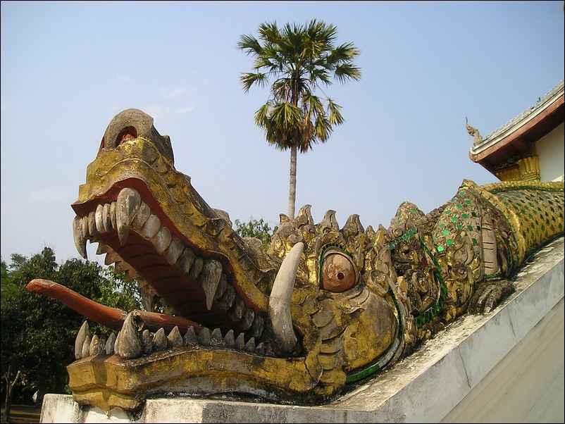 Encore une tête de dragon