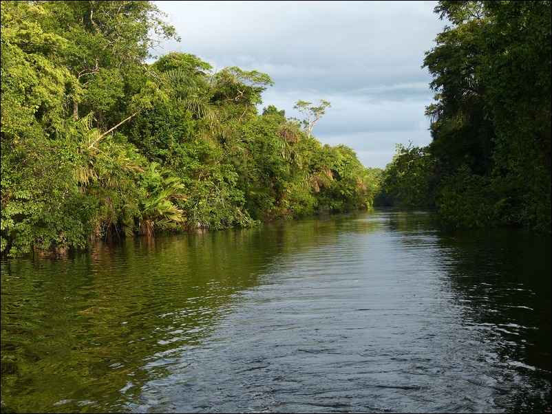 Rivière en Amazonie
