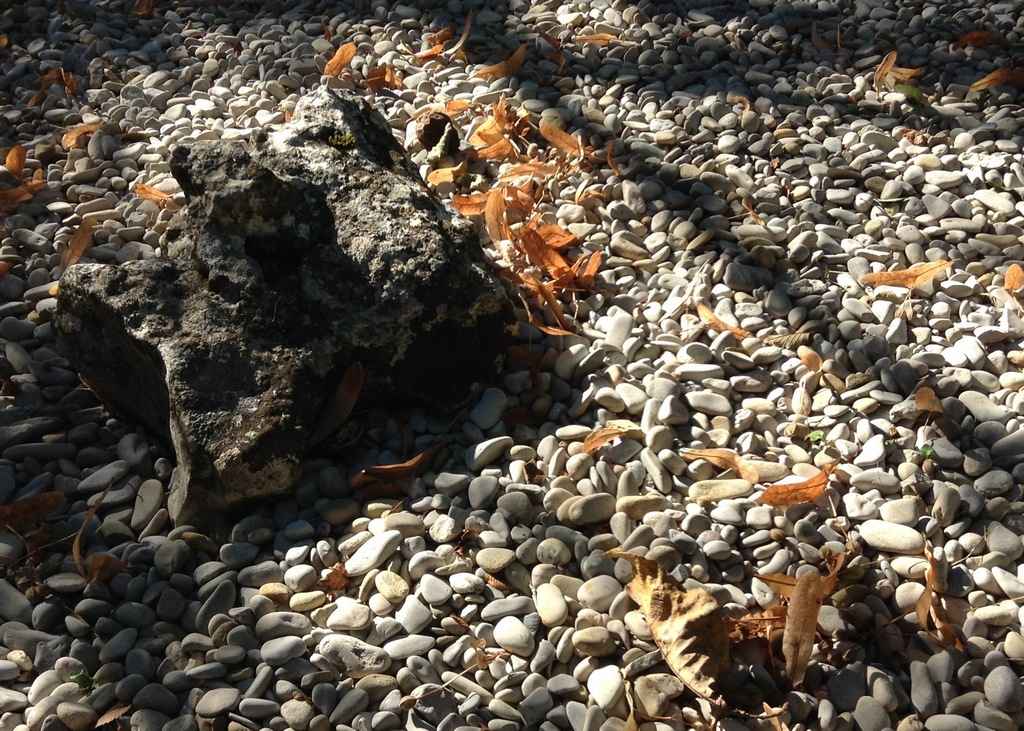 L'île aux vents sombres
