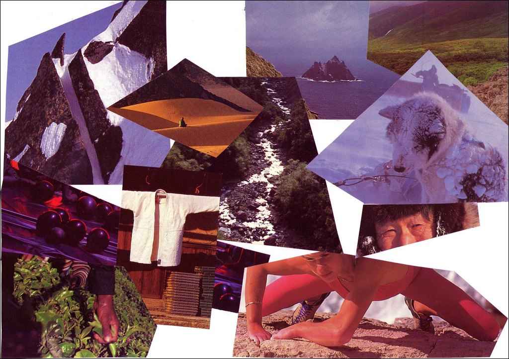 Collage février 2016, Jacques Bouchut : Chemins d'aventures