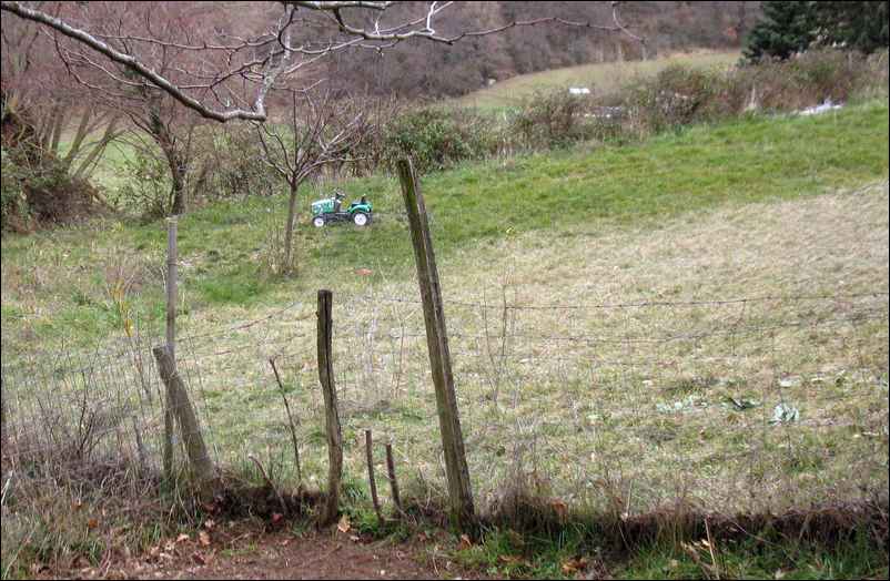 Jouet abandonné dans le pré