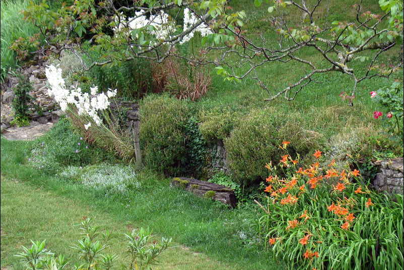 Lys et hémérocalles par temps gris