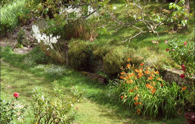 Lys et hémérocalles ensolleillés