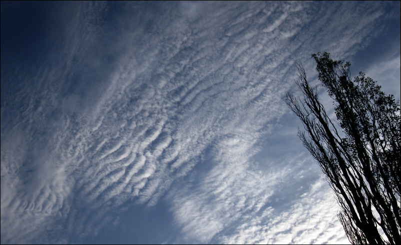 Nuages en vagues