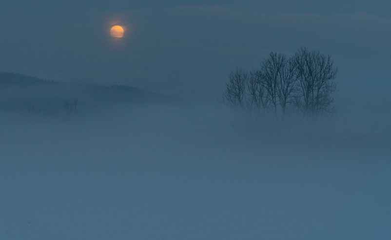 Ombre sur le jardin de pierres, photo Jacques Bouchut