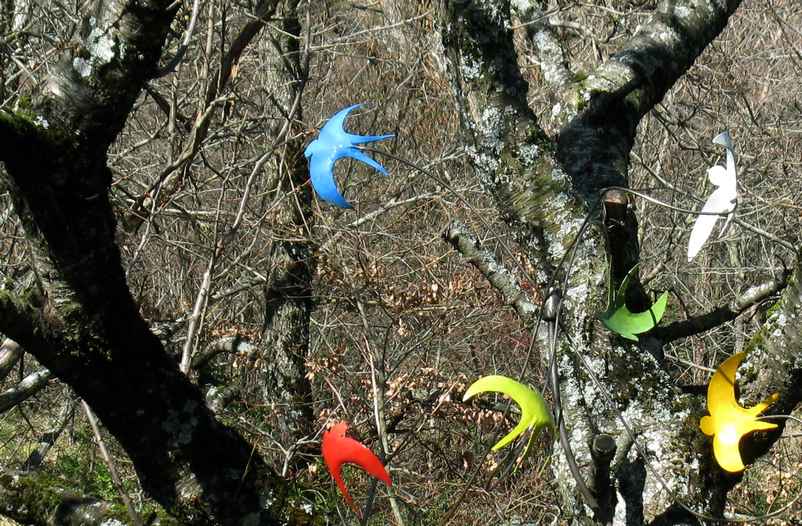 Oiseaux de l'horloge des vents, photo Jacques Bouchut