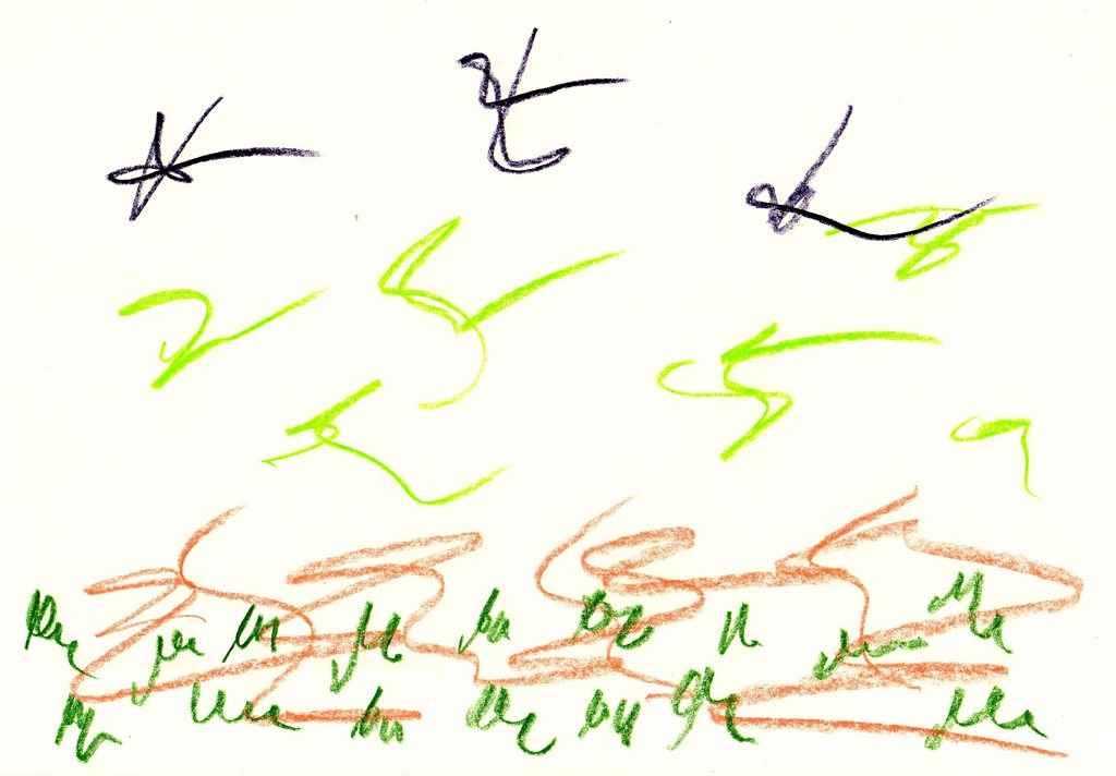 Flamands verts, gribouillage Jacques Bouchut
