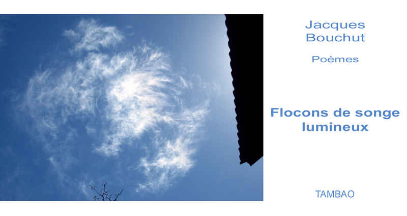 Flocons de songe, lumineux - couverture