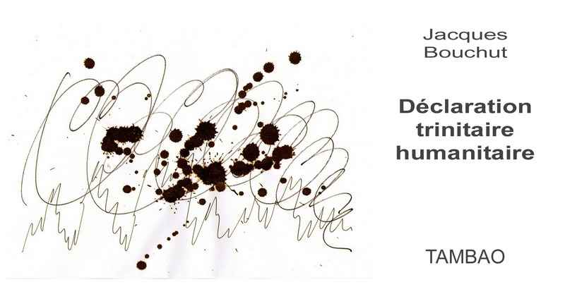 Déclaration trinitaire humanitaire - couverture