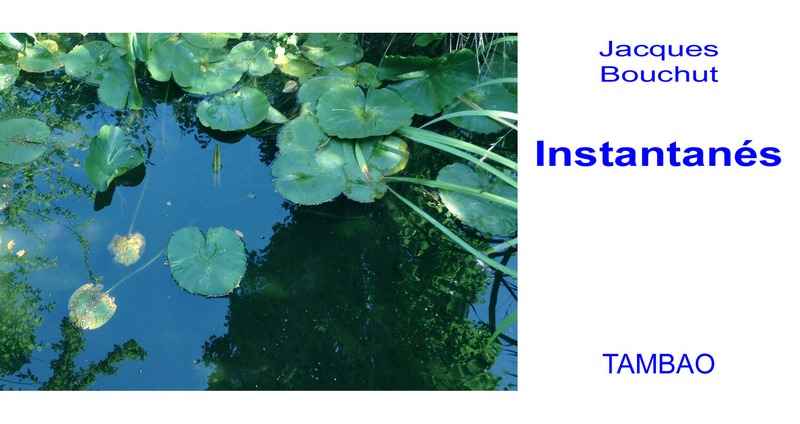 Instantanés - couverture