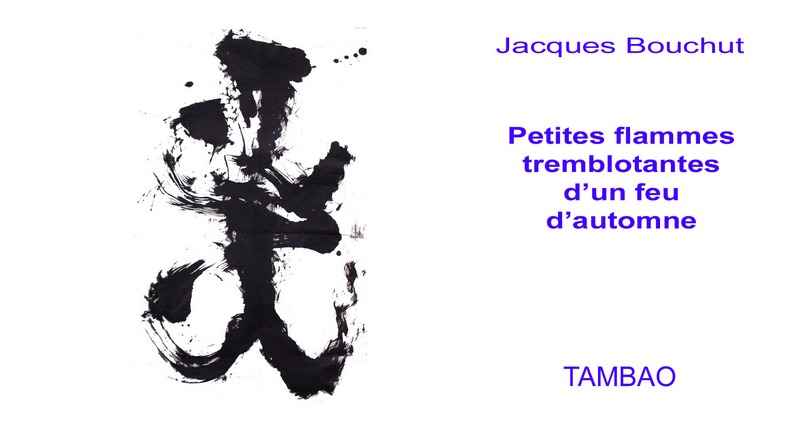 Petites flammes tremblotantes d’un feu d’automne - couverture